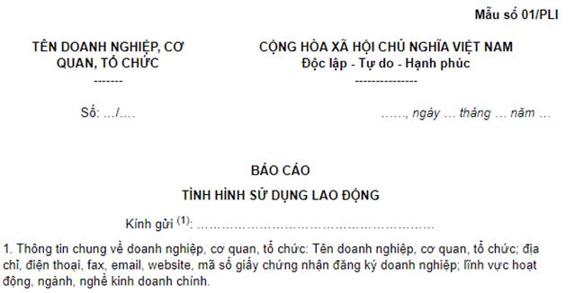 Graphical user interface, text, application

Description automatically generated