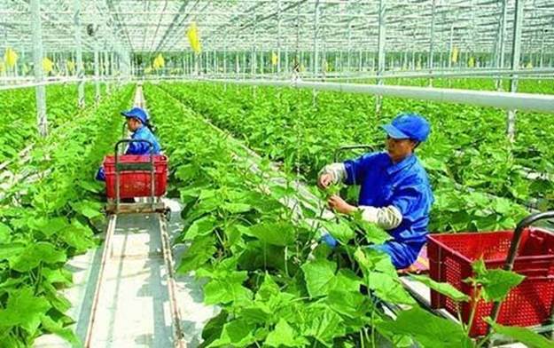 Liên Hiệp Hợp Tác Xã Là Gì, Một Số Quy Định Về Liên Hiệp Hợp Tác Xã Cần Biết